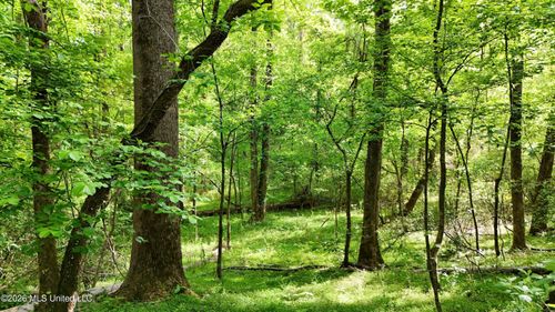 9426 Highway 315, Sardis, MS, 38666 | Card Image