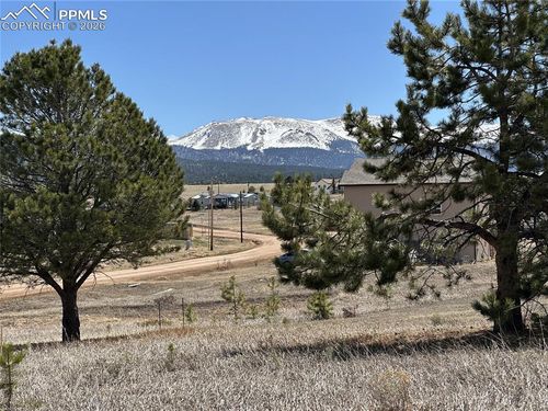 333 Golden Grain Ln, Divide, CO, 80814 | Card Image