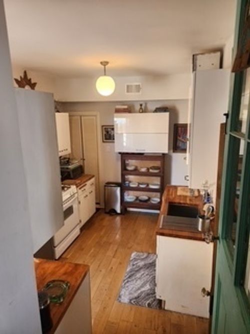 3-1020 E 46th Street, Chicago, IL, 60653 | Card Image