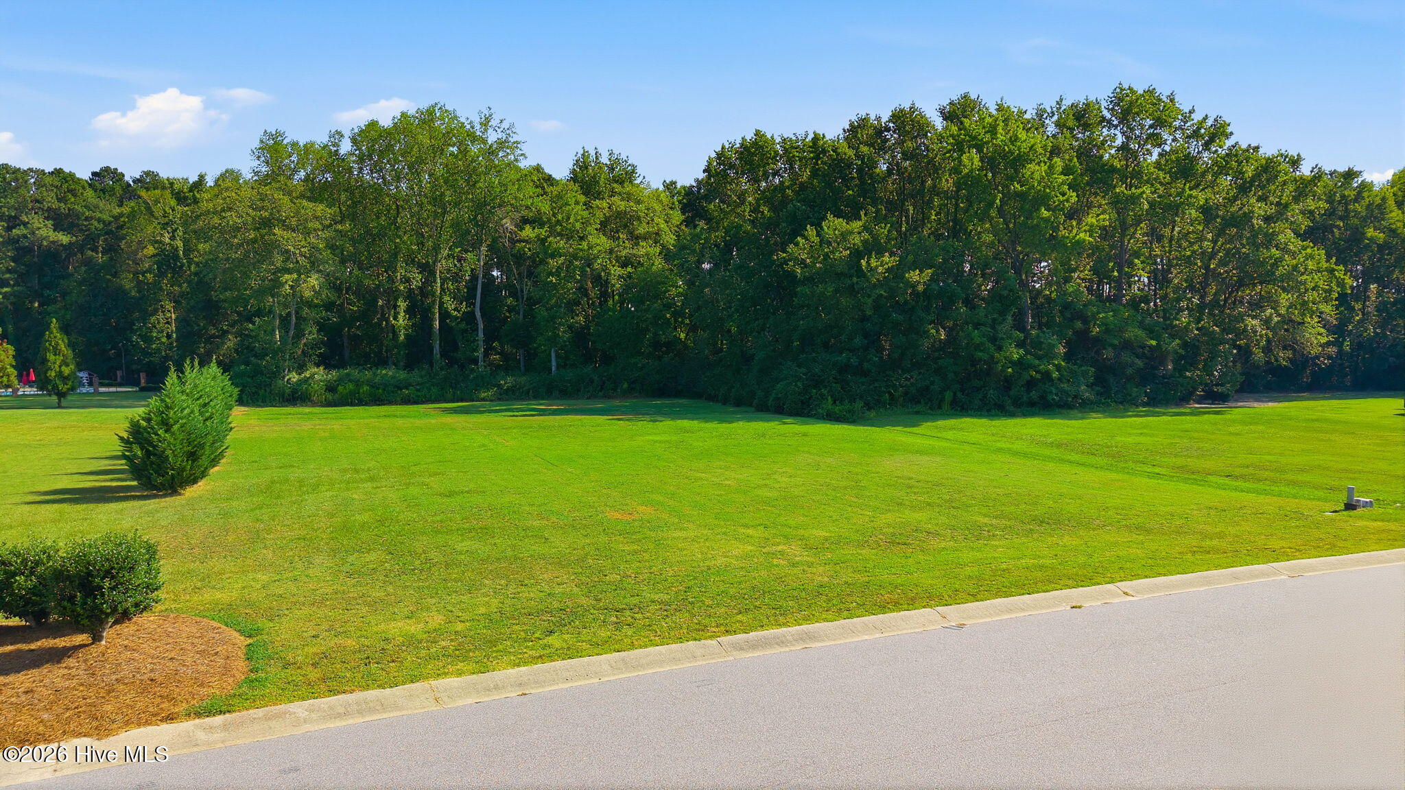 Land in Elm City 5