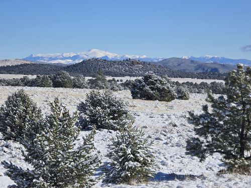 TBD Lot 25 Corral North, Cotopaxi, CO, 81223 | Card Image