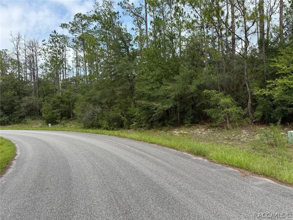 Land in Citrus Springs 3