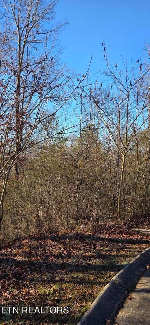 3 Sugar Maple Ct, Madisonville, TN, 37354 | Card Image