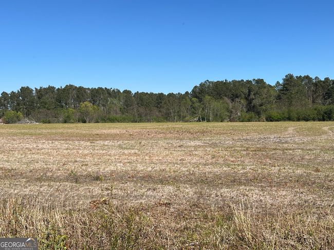 142 Norman Cole Rd, Home with 0 bedrooms, 0 bathrooms and null parking in Nicholls GA | Image 9