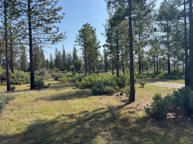 19292 Shawnee Trl, Home with 0 bedrooms, 0 bathrooms and null parking in Mokelumne Hill CA | Image 40
