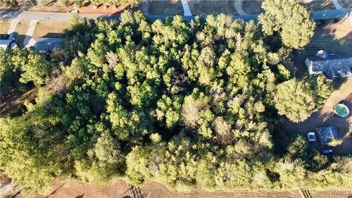 2 52nd St, Tuscaloosa, AL, 35401 | Card Image