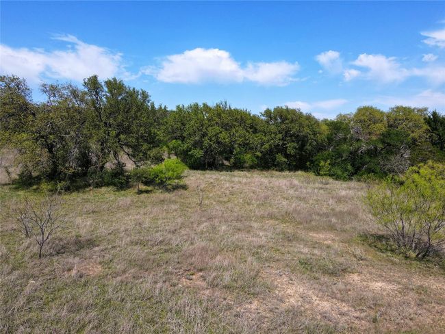 View of local wilderness | Image 4