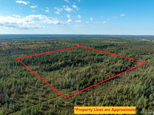 TBD 40A Old Plank Road, Wetmore, MI, 49895 | Card Image