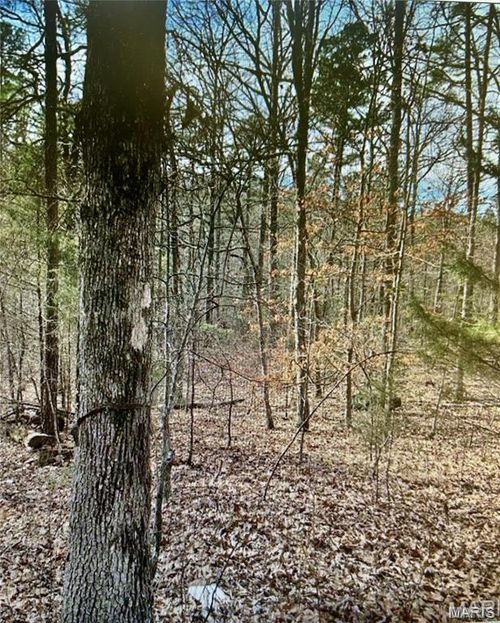 10365 Prices Trl, Potosi, MO, 63664-8427 | Card Image