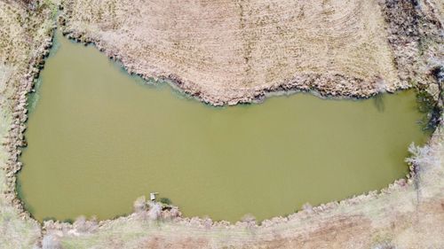 TBD County Road 1460, Linden, TX, 75563 | Card Image