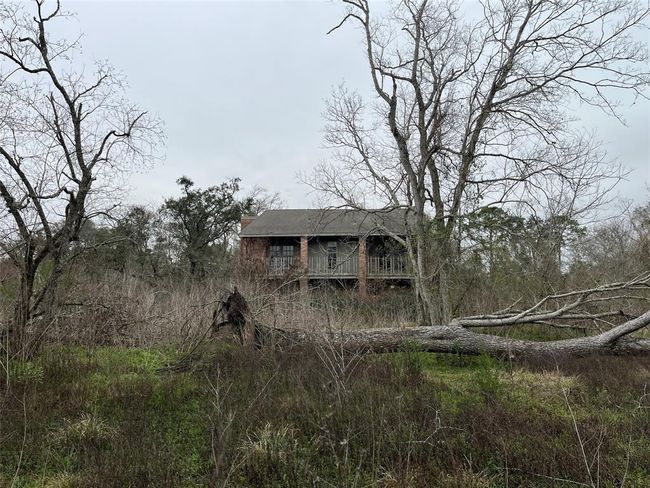There are a few large fallen trees that will need to be removed, but you will have some excellent wood for the firepit and projects. | Image 11