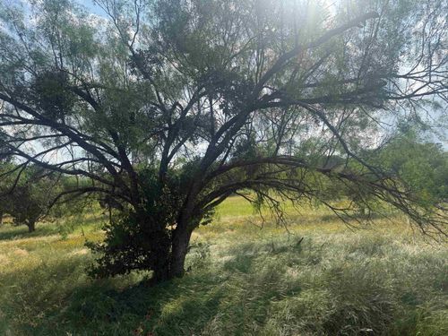 LT W11013A Broken Hills Dr, Horseshoe Bay, TX, 78657 | Card Image