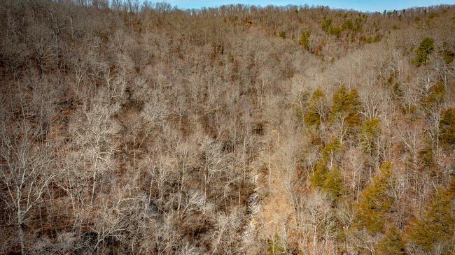 00 Bear Skin Dr, Home with 0 bedrooms, 0 bathrooms and null parking in Harriet AR | Image 32