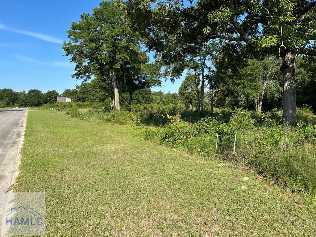Land in Jesup 4