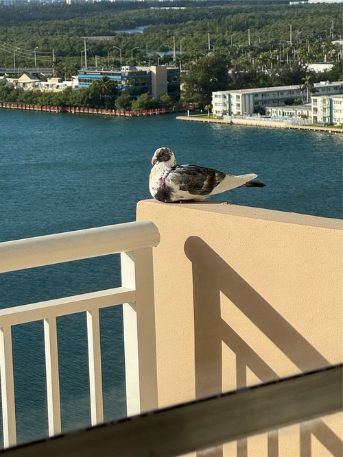 apt-1820-250 174th St, Sunny Isles Beach, FL, 33160-3352 | Card Image