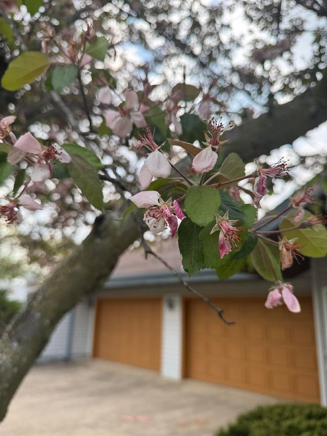 3578 State Road 39, House other with 3 bedrooms, 3 bathrooms and null parking in Mineral Point WI | Image 52