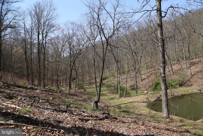 4423 High Knob Rd, House other with 2 bedrooms, 2 bathrooms and null parking in Old Fields WV | Image 23