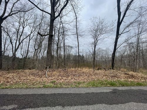 1 Forest Trl, Bumpus Mills, TN, 37028 | Card Image