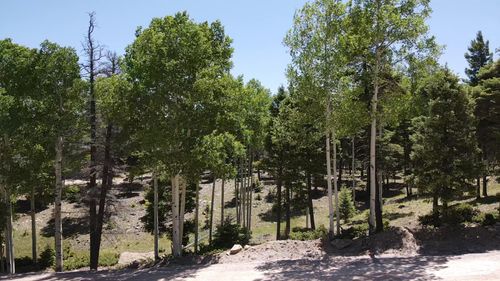 Lot 1325 Sierra Blanca Cir, Angel Fire, NM, 87710 | Card Image