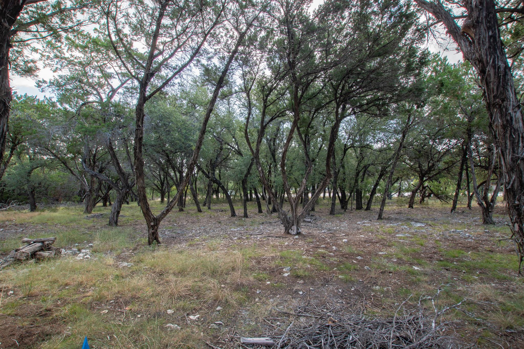 Land in Jonestown 4