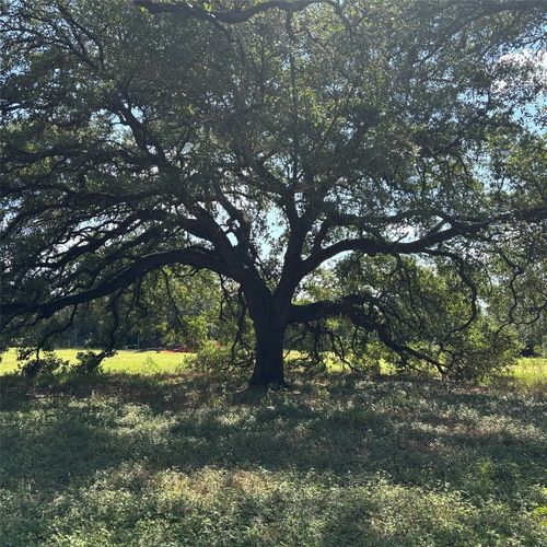 2477 State Highway 159, La Grange, TX, 78945-4461 | Card Image