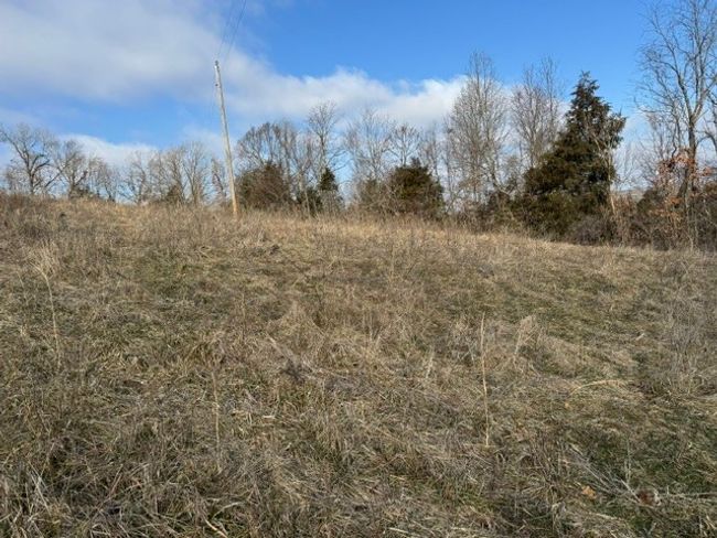24134 Fate Anderson Rd, Home with 0 bedrooms, 0 bathrooms and null parking in Hindsville AR | Image 4