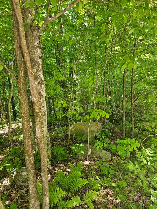 N12379 Red Rock Rd, SILVER CLIFF, WI, 54104-9010 | Card Image