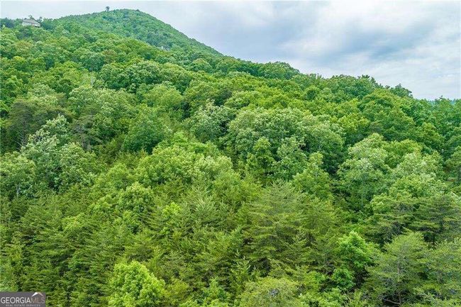 0 Terrace Way, Home with 0 bedrooms, 0 bathrooms and null parking in Jasper GA | Image 13