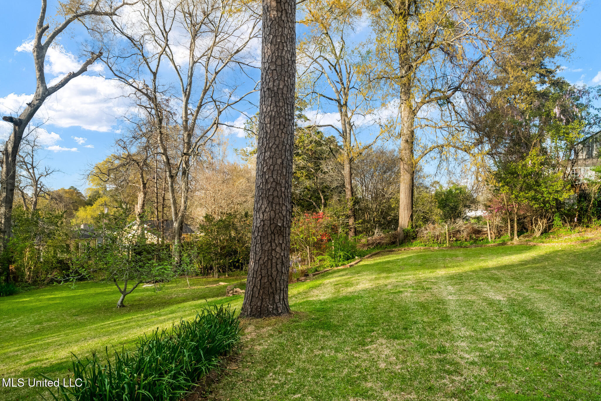 Residential in Natchez 4