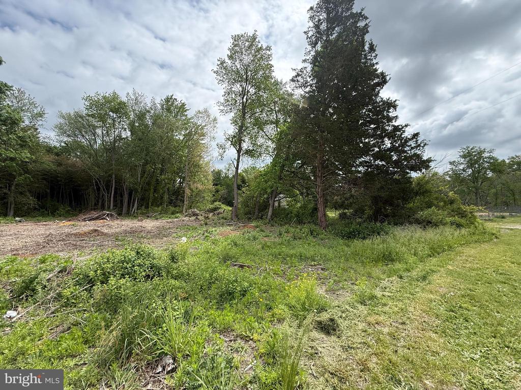 Land in FRANKLINVILLE 5