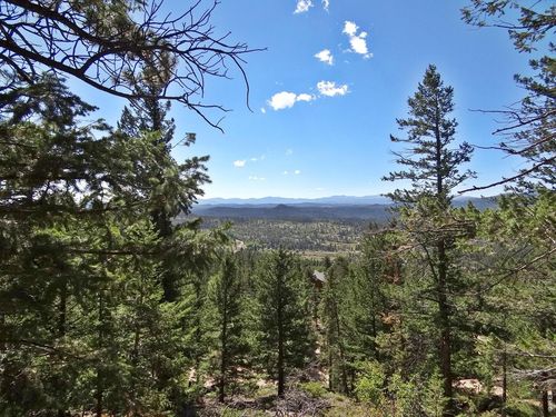 203 Mattapony Way, Red Feather Lakes, CO, 80545-8619 | Card Image