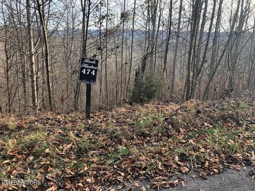 0 Silver Trl, New Tazewell, TN, 37825 | Card Image