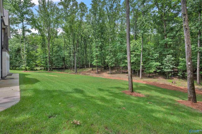13559 Monte Vedra Rd Se, House other with 5 bedrooms, 6 bathrooms and null parking in Huntsville AL | Image 46