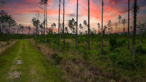 50 Circle Block Loop Loop, PERRY, FL, 32348-0000 | Card Image