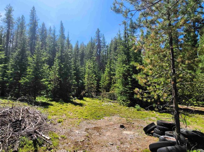 7450 Ruby Creek Rd, Home with 0 bedrooms, 0 bathrooms and null parking in Cusick WA | Image 8