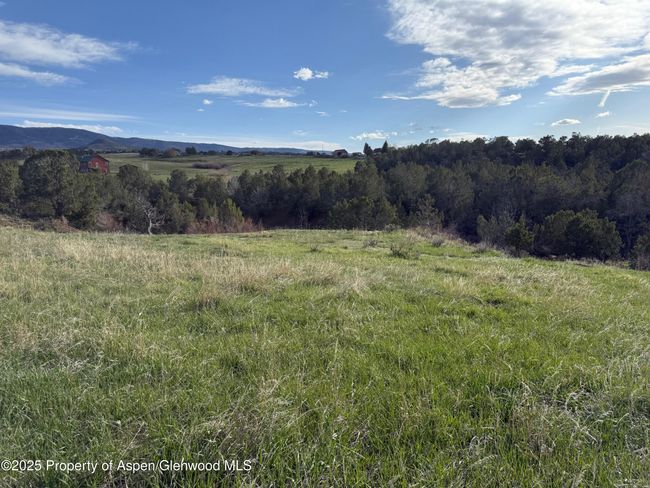 14495 N Scott Loop, Home with 0 bedrooms, 0 bathrooms and null parking in Collbran CO | Image 13