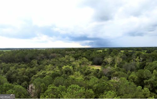 1068 Ga Highway 39, Donalsonville, GA, 39845-2508 | Card Image