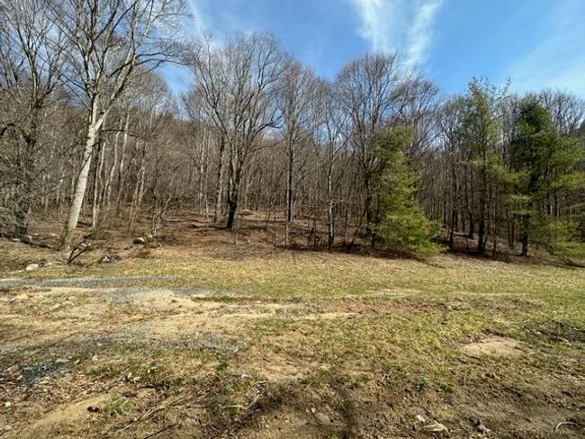 267 Sturgills Rd, House other with 3 bedrooms, 3 bathrooms and null parking in Mouth of Wilson VA | Image 77