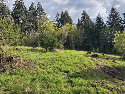 580533-0 Kings Ridge Rd, Dallas, OR, 97338 | Card Image