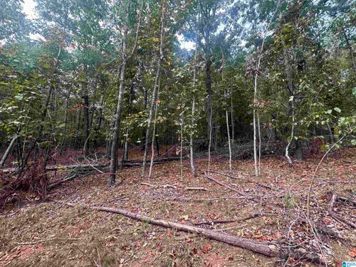 0-0 Smith Mill Rd, Delta, AL, 36258 | Card Image