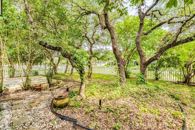 Backyard area . | Image 24