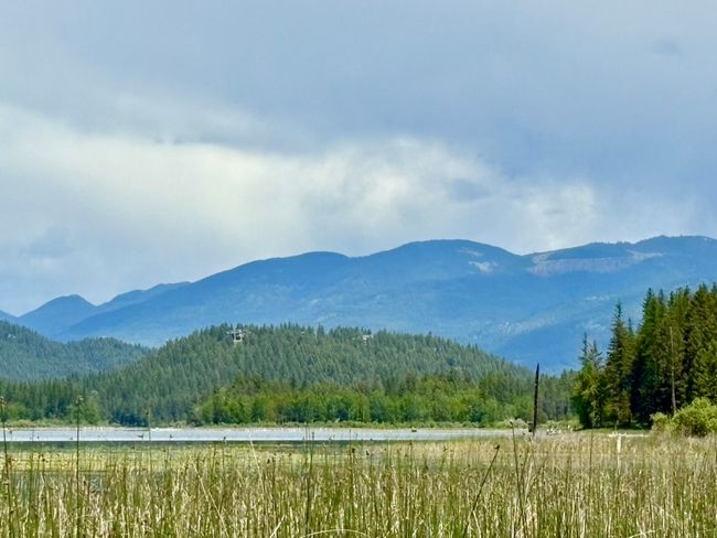 Lake Access/ View from the dock | Image 34