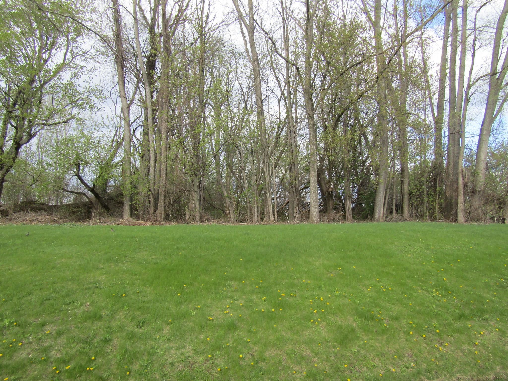 Land in Alburgh 3