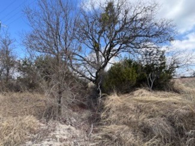 229 E Rolling Oaks Dr, Home with 0 bedrooms, 0 bathrooms and null parking in Goldthwaite TX | Image 9