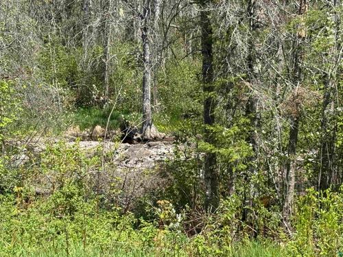 TBD Crown Creek Rd, Finland, MN, 55603 | Card Image