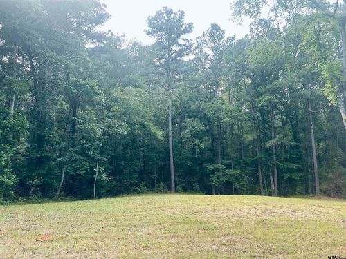 TBD Brandon St, Troup, TX, 75789 | Card Image