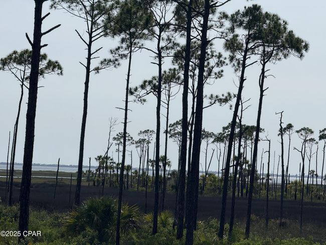 Lot 6 E Highway 98, Home with 0 bedrooms, 0 bathrooms and null parking in Port St. Joe FL | Image 7