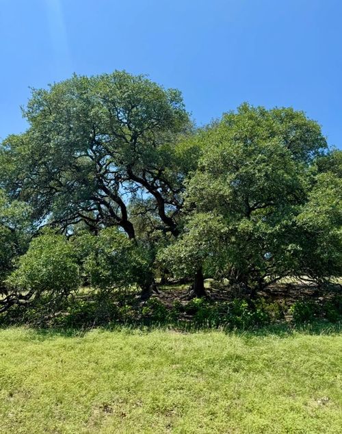 TBD Grape Creek Rd, Fredericksburg, TX, 78624 | Card Image