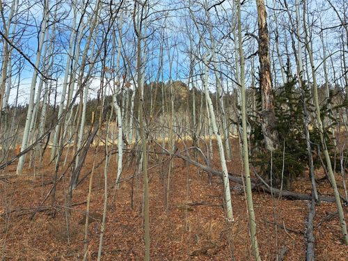 503 Sugar Loaf Lane, JEFFERSON, CO, 80456 | Card Image