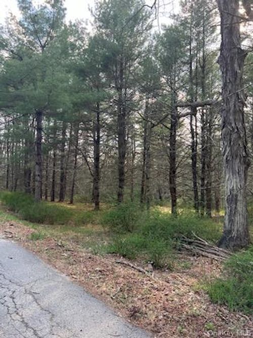 Upper Pine Kill Road Upper Pine Kill Road, Mamakating, NY, 12790 | Card Image